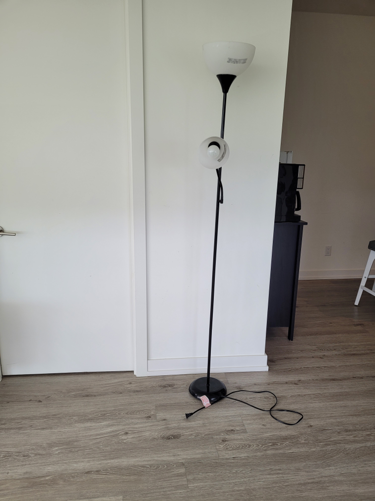 Standing Floor Lamp - Black