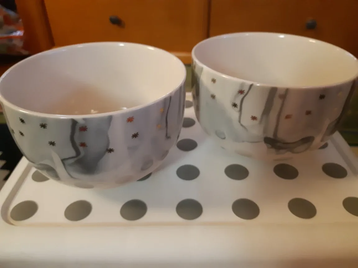 Anthropologie Bowls (Set of 2) 🧡 thumbnail