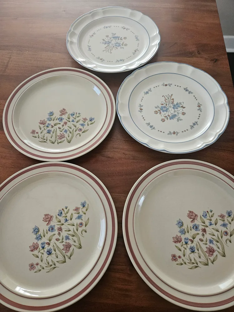 Plates dishwasher/ Microwave Safe thumbnail