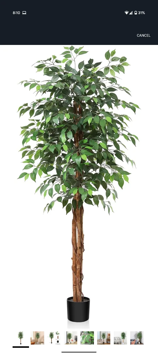 Artificial Ficus Tree, 6 FT thumbnail