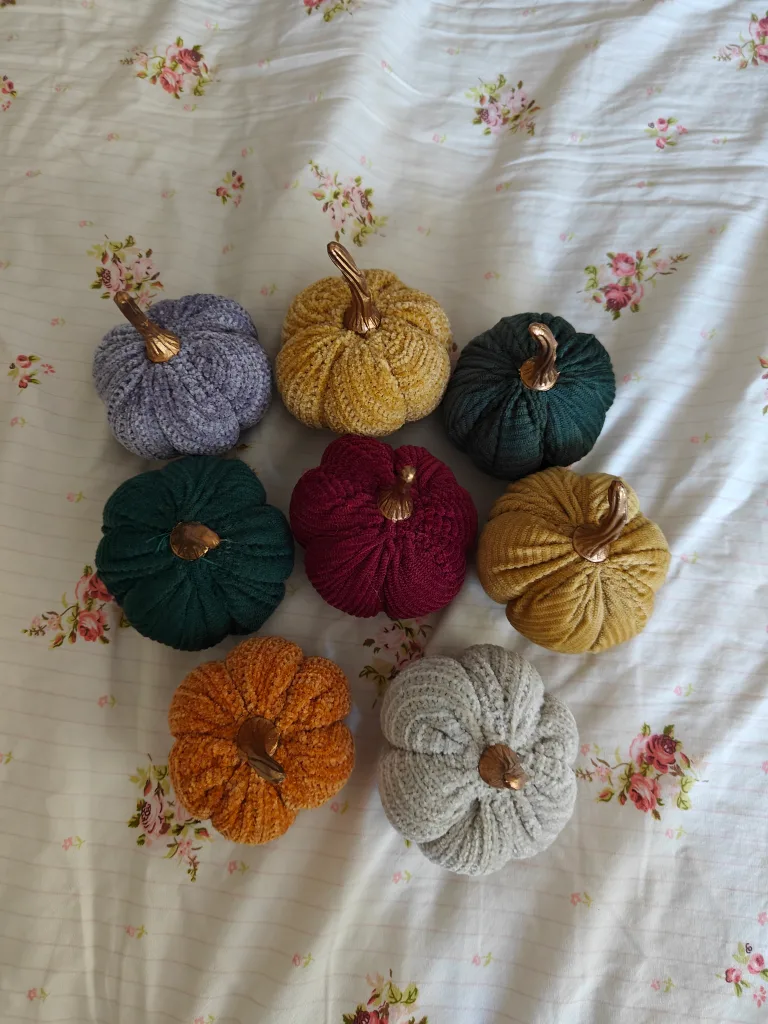 Bee & Willow Set of 7 Mini Pumpkins 💖🧡 image indicator(2)