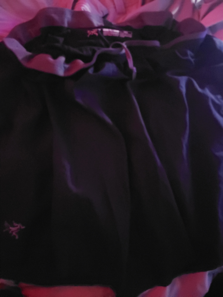 Arc'teryx Men's Shorts Size L - photo 3