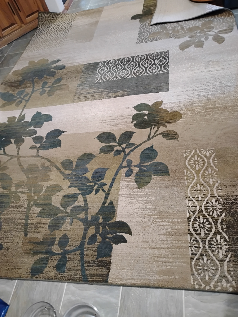 Sphinx Odyssey Rug 7'10" X 11'