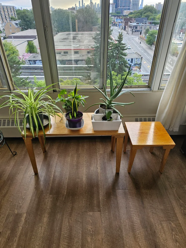 Wooden Plant Stand Table Set