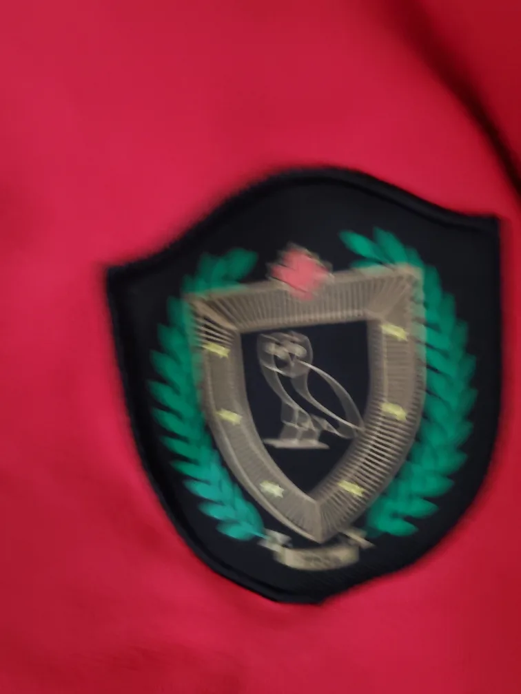 October's Very Own (OVO) Red Crewneck image indicator(3)