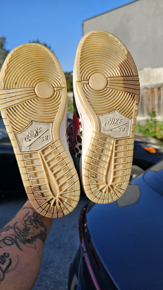 nike sb dunk dog walkers - photo 3