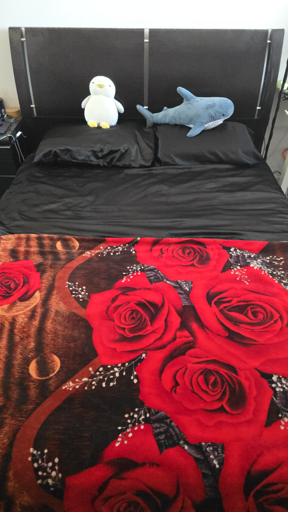 Queen Bed Frame with Headboard