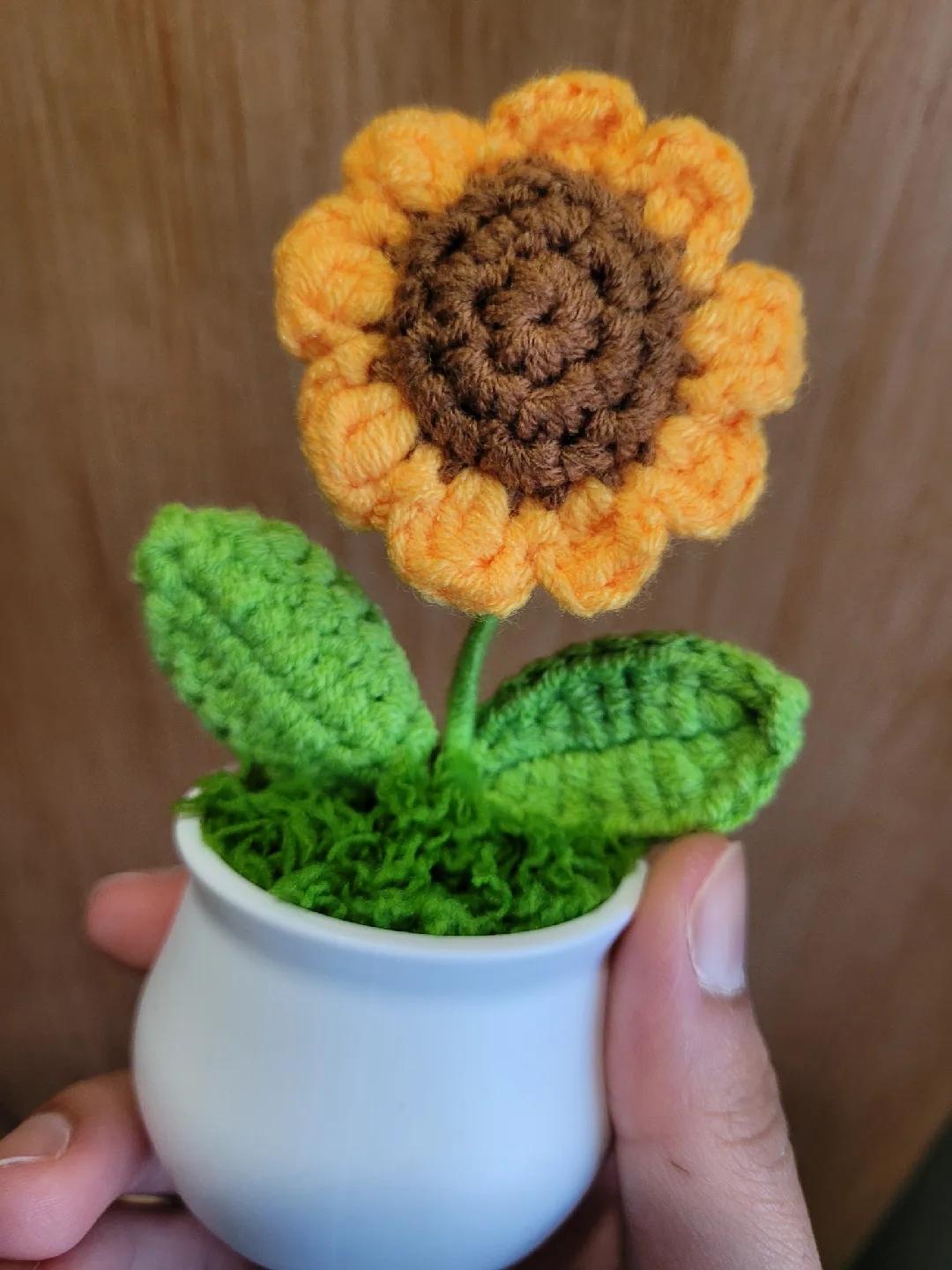 Crocheted Sunflower in White Pot image indicator(10)