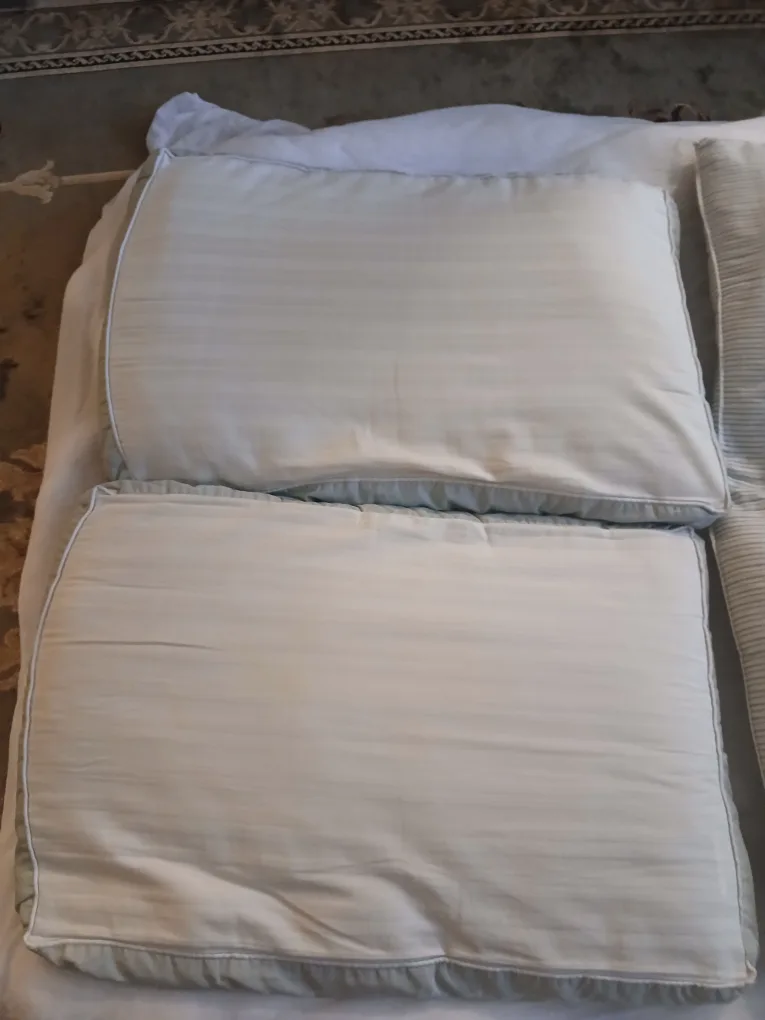Set of 4 Queen size Pillows image indicator(3)