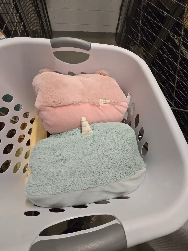 Pink Bear & Blue Unicorn Plush Pillows image indicator(3)