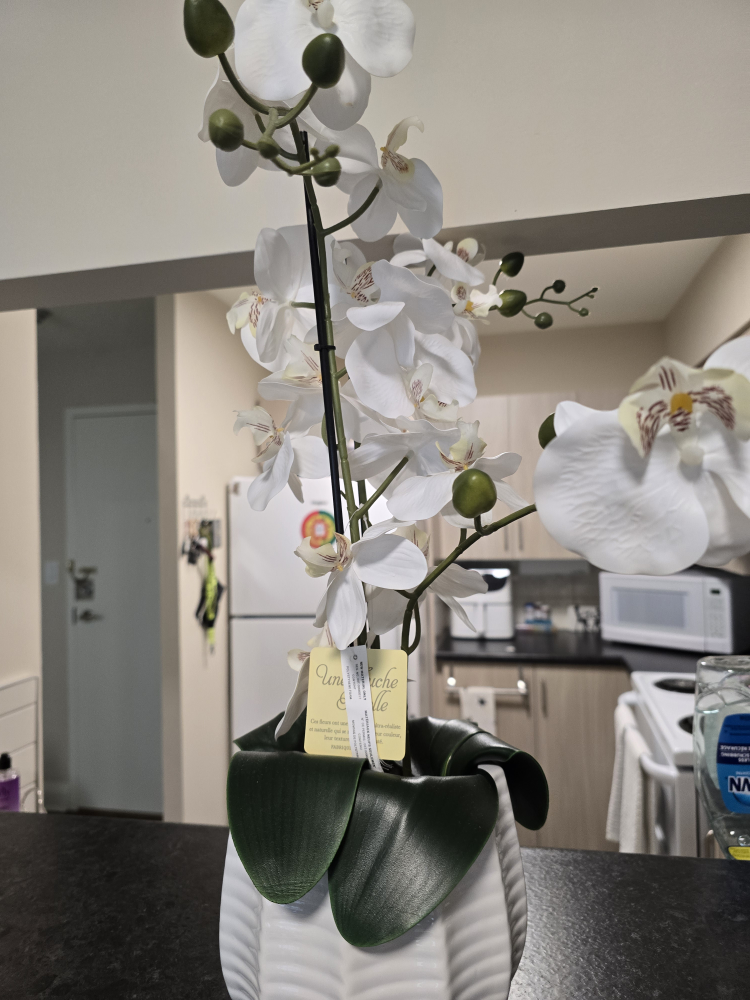 White Artificial Orchid Plant, 22" Tall - photo 4