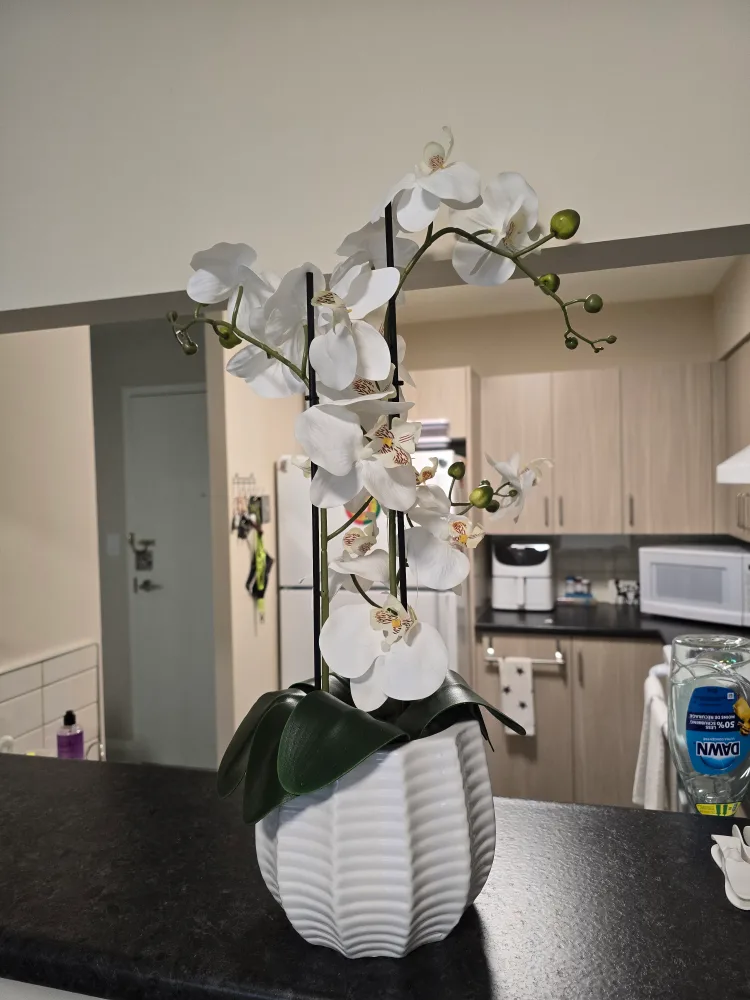 White Artificial Orchid Plant, 22" Tall image indicator(6)