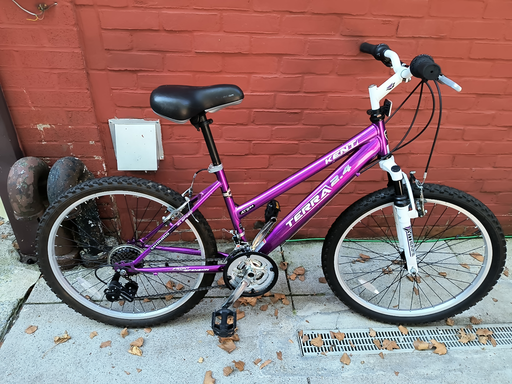 Purple Bicycle
