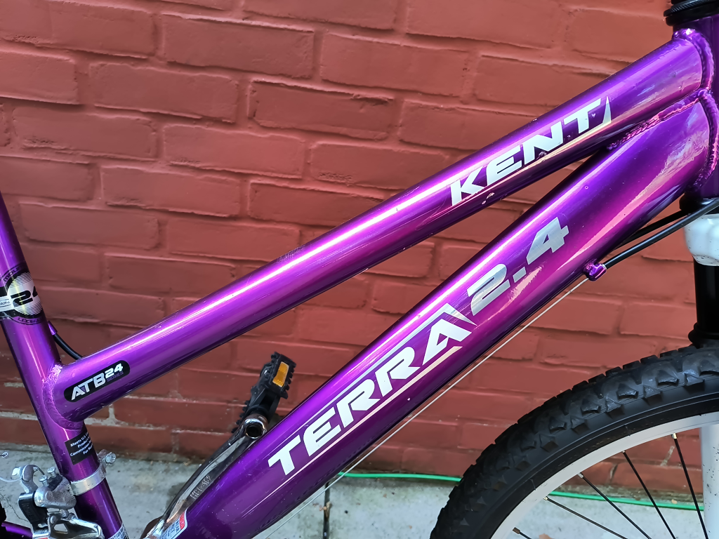 Purple Bicycle - photo 3