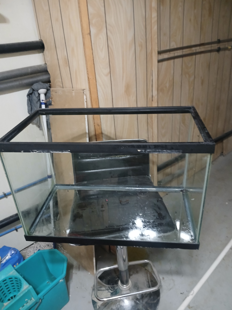 Used Fish Tank with Accessories - photo 3