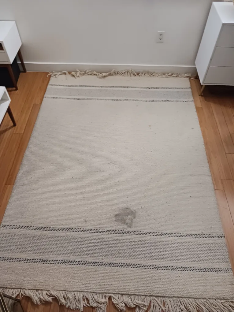 Area Rug w/ Fringe – Beige w/ Gray Stripes (Needs Cleaning) image indicator(3)