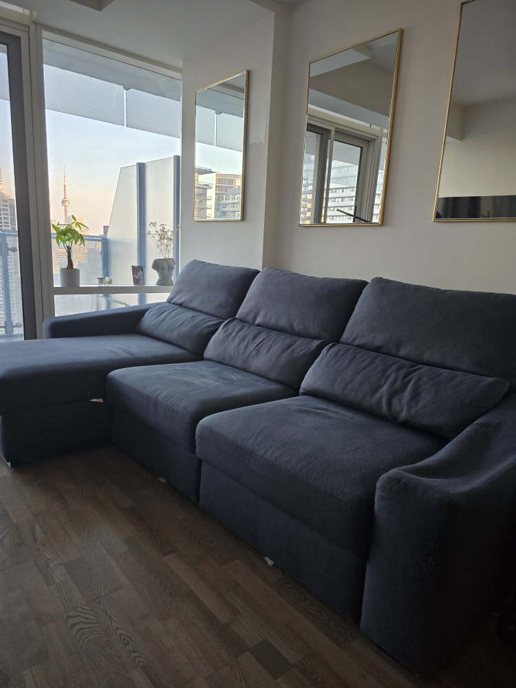 Structube Sectional Sofa (Pull Out) + Cushions - photo 4