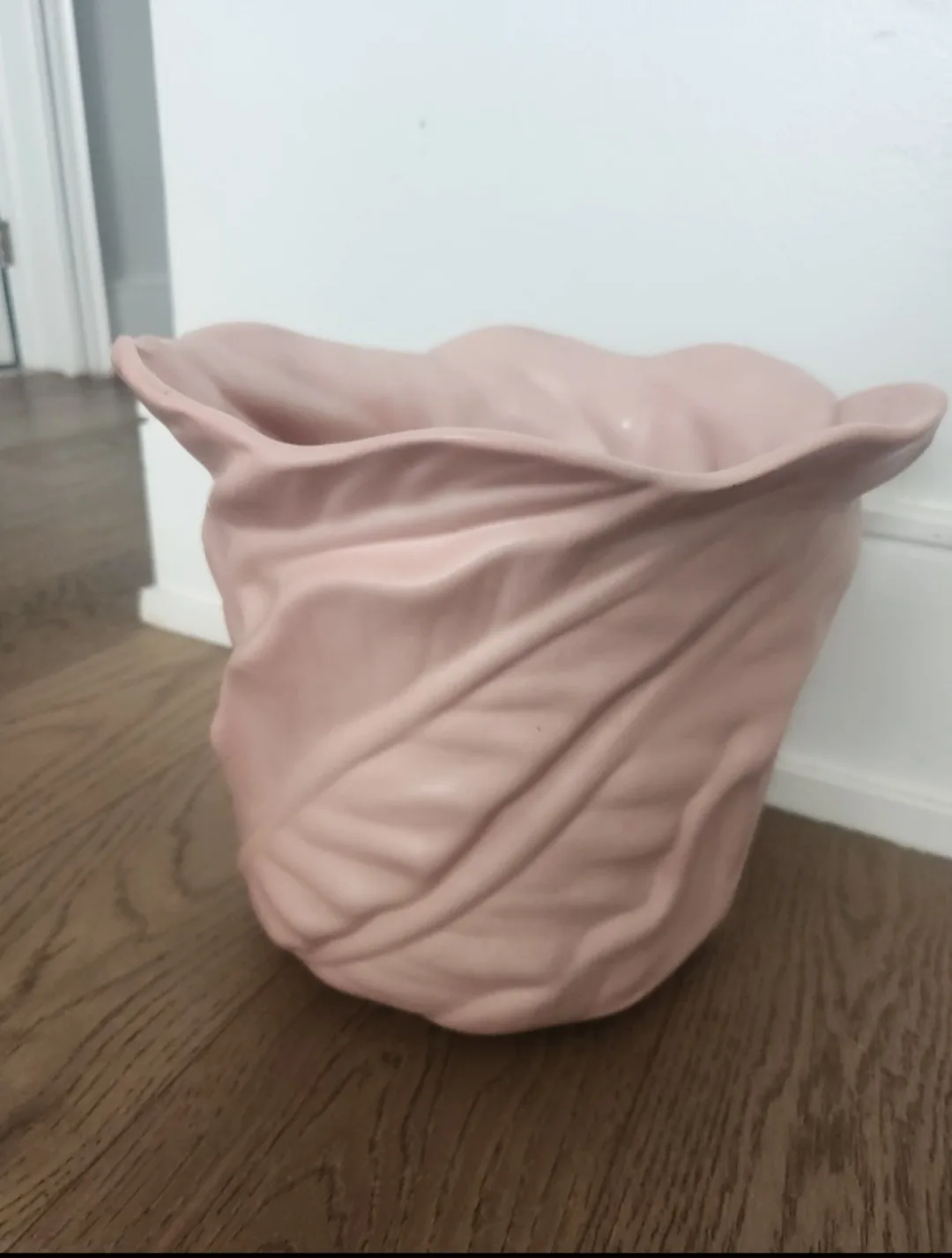 xl plant pot thumbnail