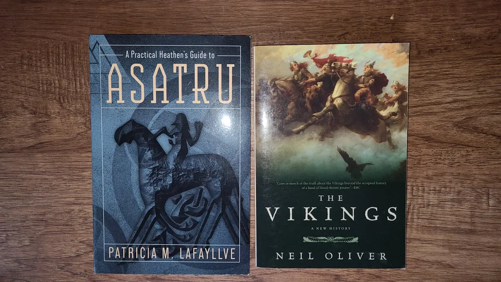 The Vikings Fan Book Bundle thumbnail