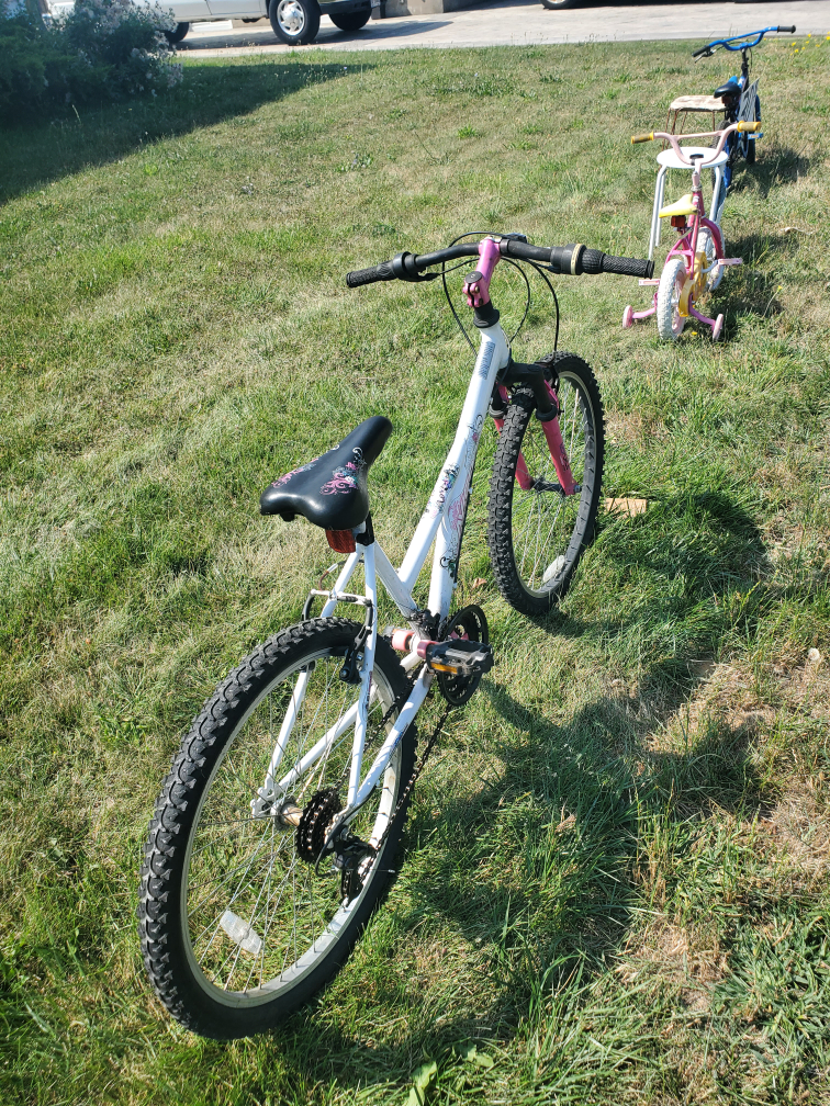 21 speed bike - photo 2