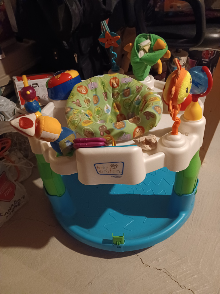 Baby Einstein Activity Jumper & Ride-On Toy