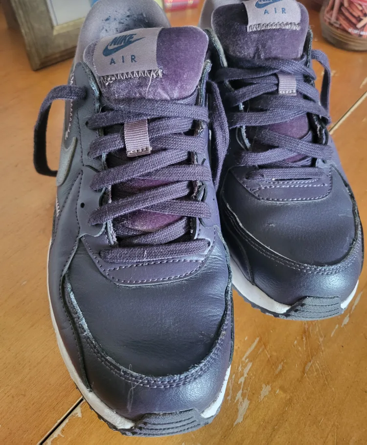 Nike Air Max Sneakers thumbnail