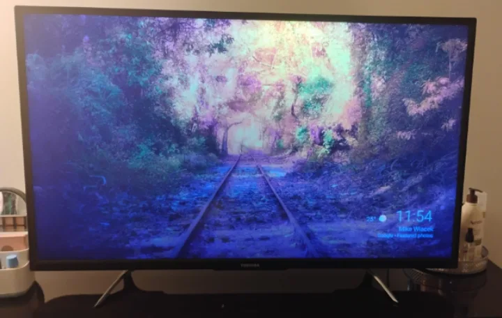 Toshiba Flat Screen TV image indicator(6)