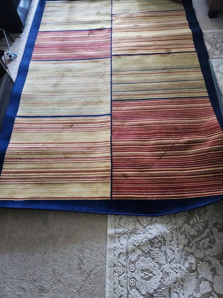 Large Area Rug image indicator(5)