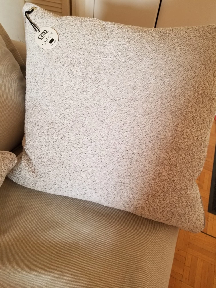 2 Brand New Pillows - Callisto Home Decorative Pillow - - photo 3