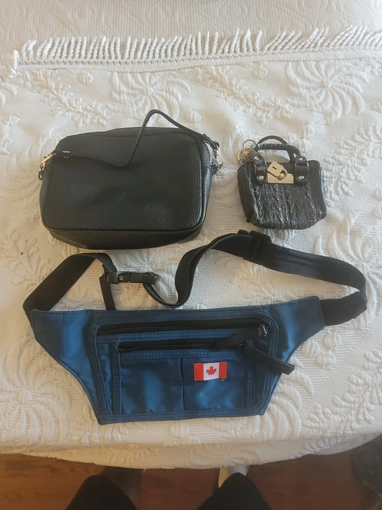 Assorted Bags - Crossbody, Mini Bag & Belt Bag thumbnail