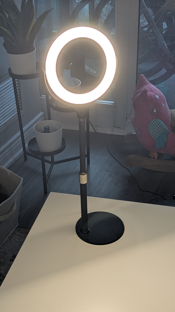 LED Ring Light with Adjustable Stand