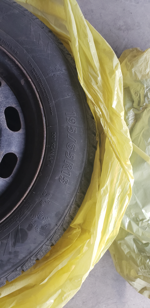 Winter Rims w/ Evergreen Winter Tire 195/65R15 - photo 2