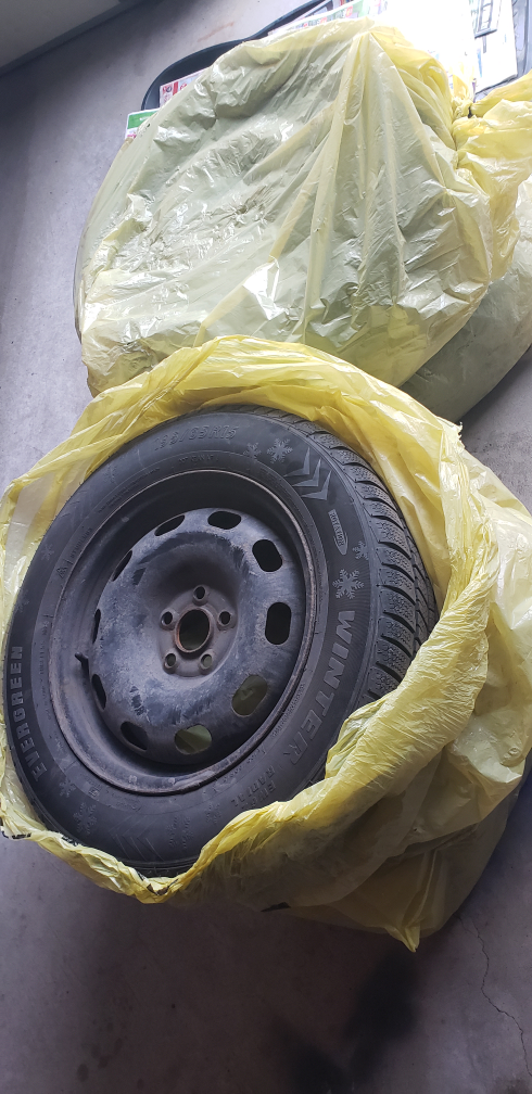 Winter Rims w/ Evergreen Winter Tire 195/65R15 - photo 3