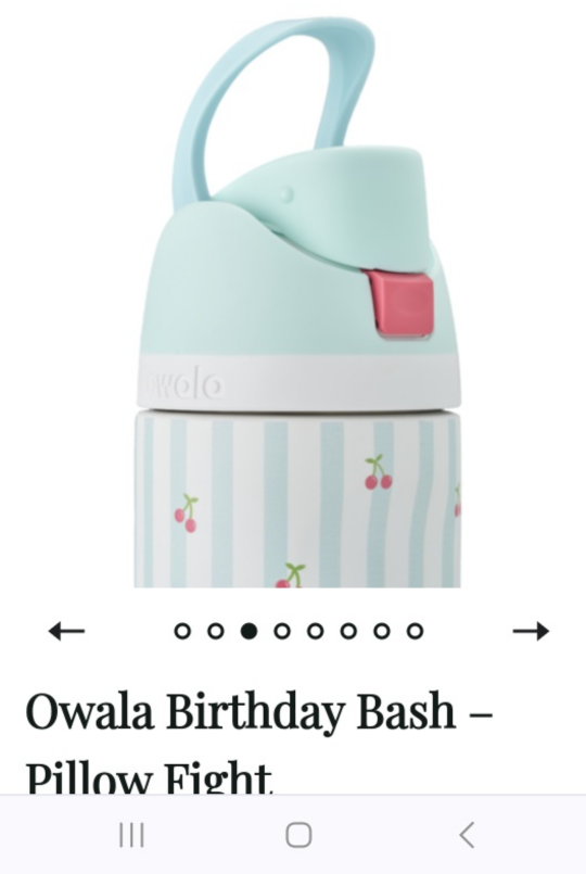Owala Birthday Bash Pillow Fight Water Bottle - photo 3