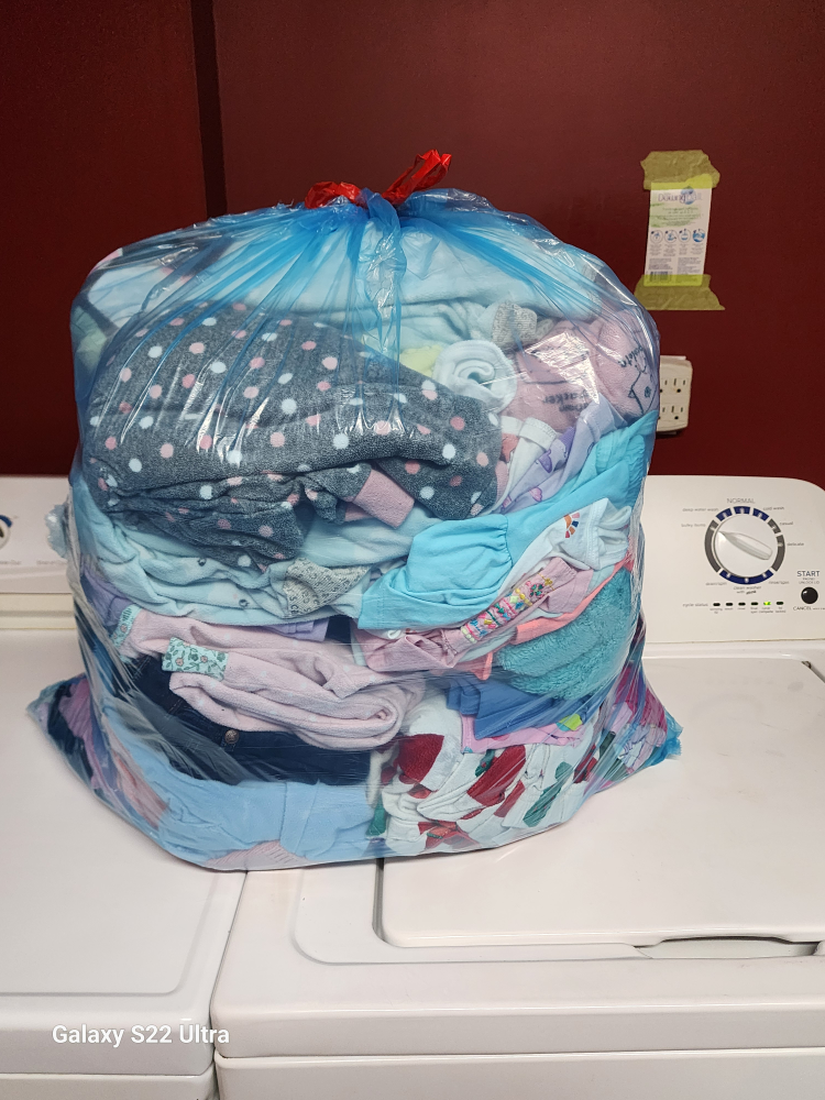 Bag of mixed baby - toddler girls clothing