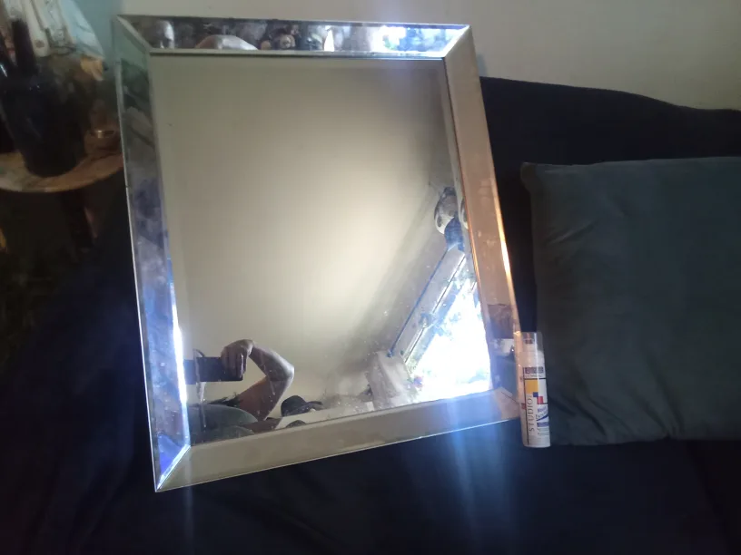 Silver Framed Mirror image indicator(2)