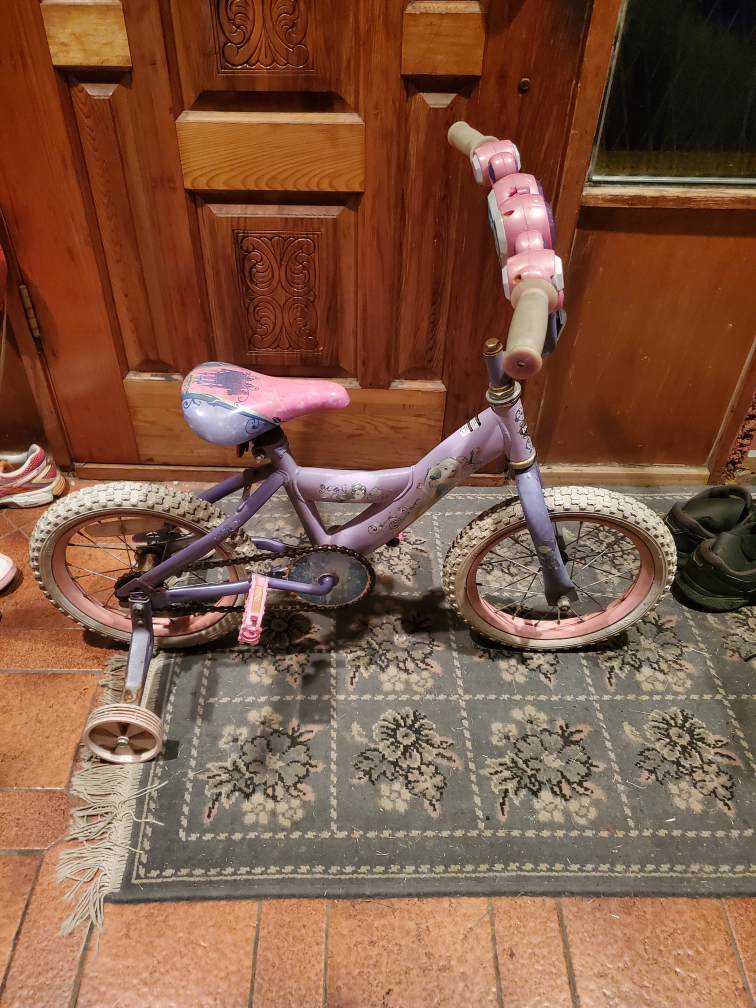 Kids' Purple & Pink Training Bike 14"