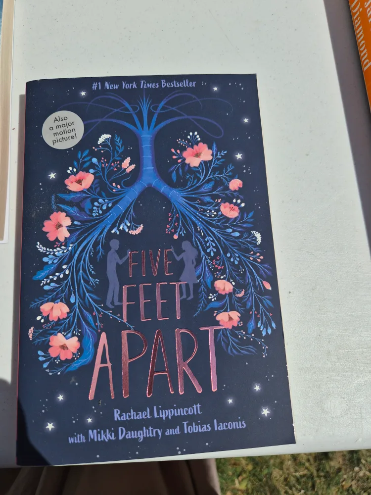 Five Feet Apart by Rachael Lippincott thumbnail