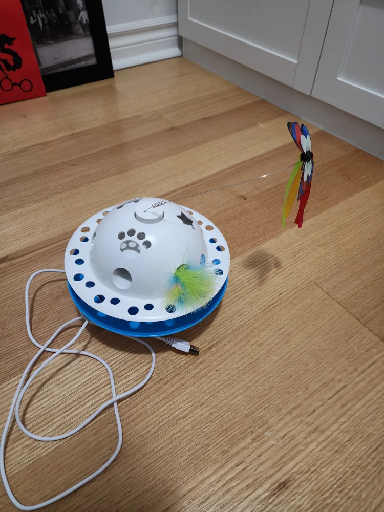 3 in 1 cat toy thumbnail