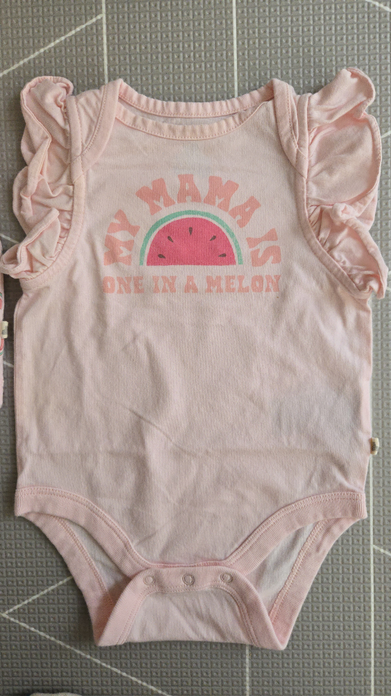 Baby Gap 3-6 Months Bodysuits (Watermelon Theme) - photo 4