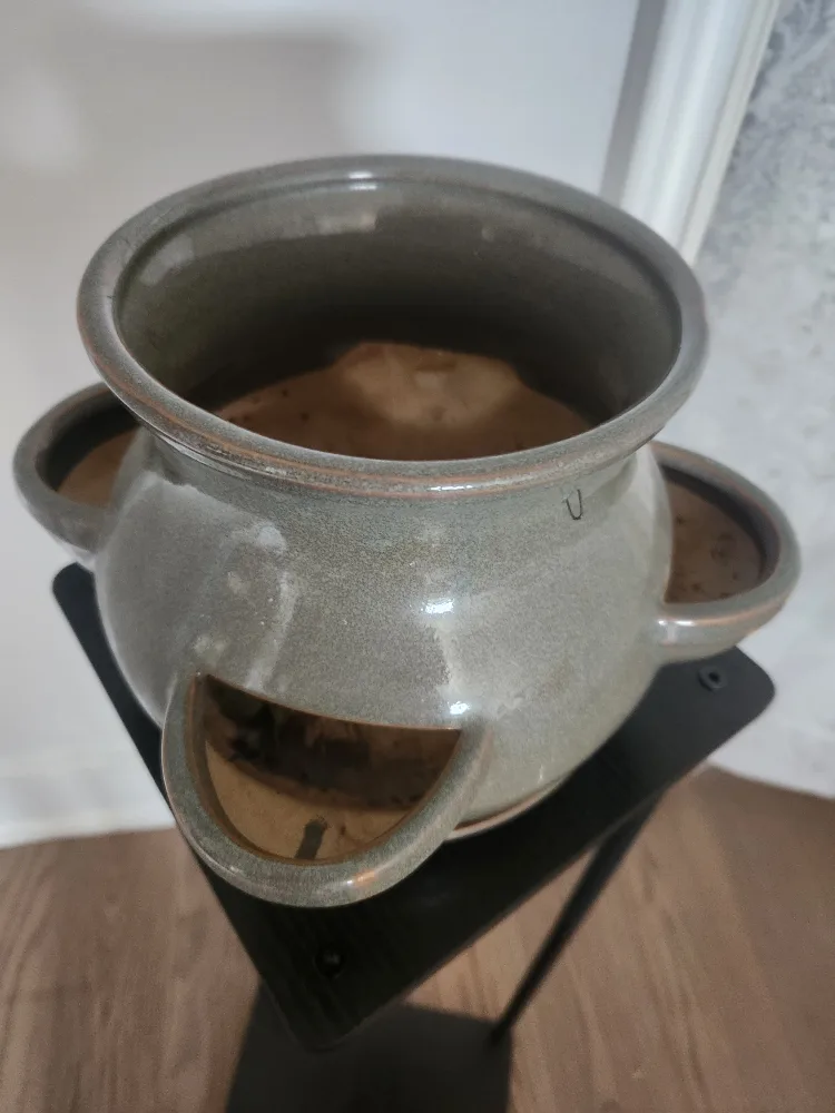 unique plant pot thumbnail