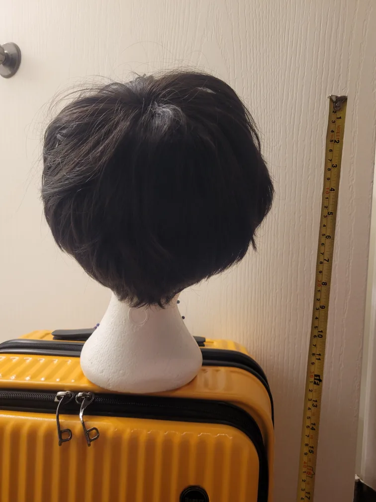 Short Black Wig image indicator(3)