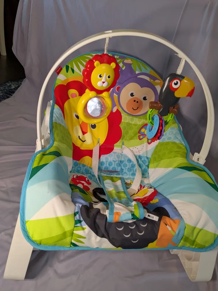 Fisher-Price Infant-to-Toddler Rocker image indicator(4)