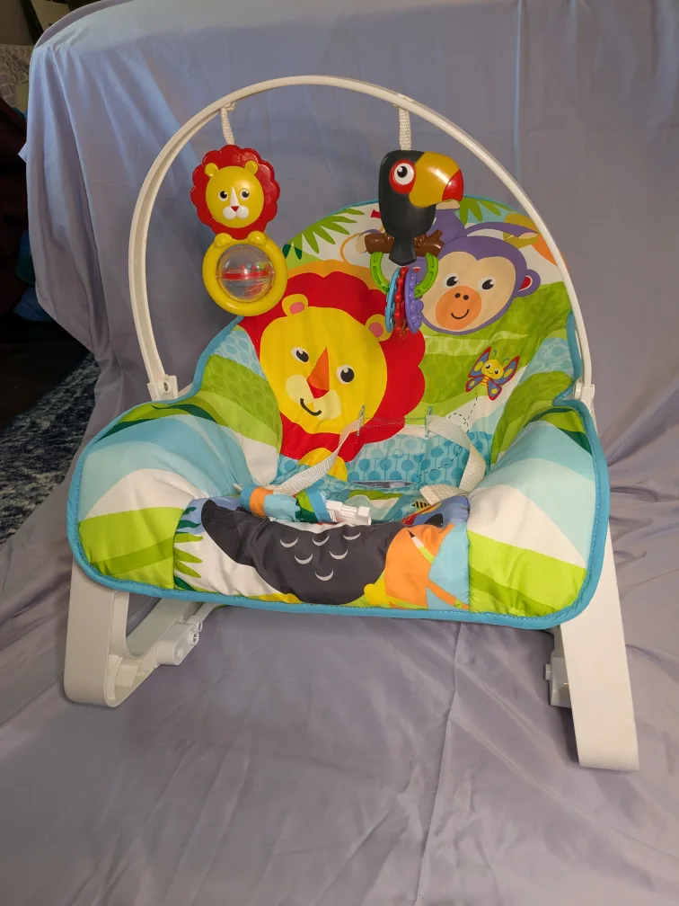Fisher-Price Infant-to-Toddler Rocker image indicator(6)