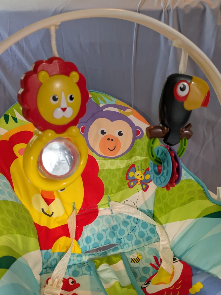 Fisher-Price Infant-to-Toddler Rocker image indicator(7)