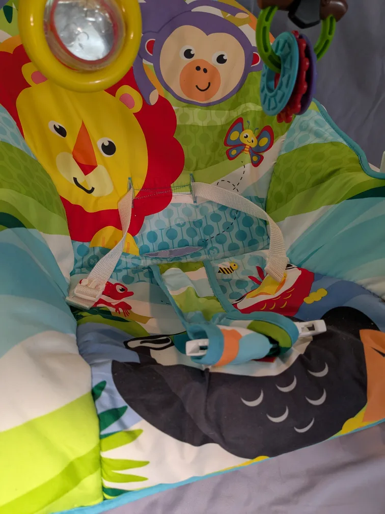 Fisher-Price Infant-to-Toddler Rocker image indicator(8)