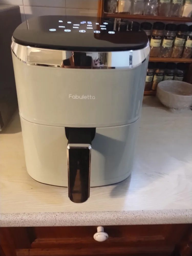 Fabuletta 4QT Air Fryer in Mint Green