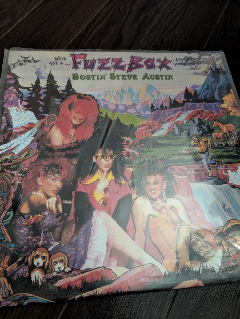 Fuzzbox Bostin' Steve Austin Vinyl Record thumbnail