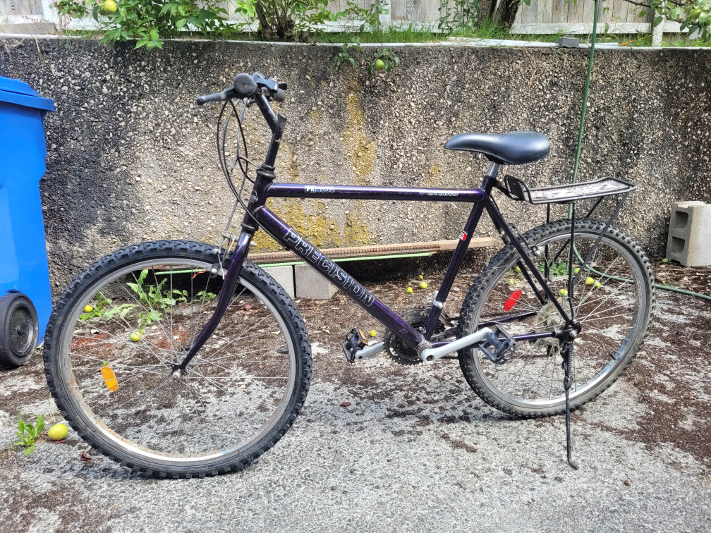 Precision Escapade Mountain Bike - Purple