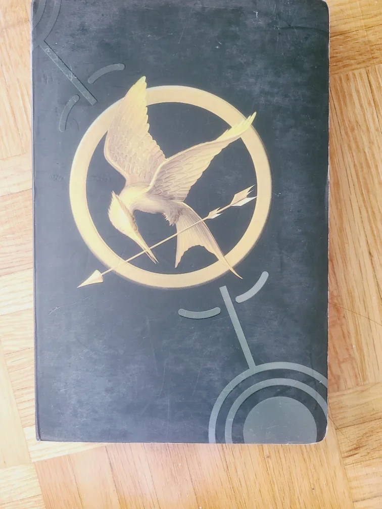 The Hunger Games Catching Fire Journal thumbnail